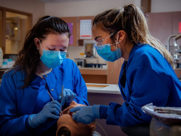 Five Subjects That Will Assist Students in Their General Dentistry